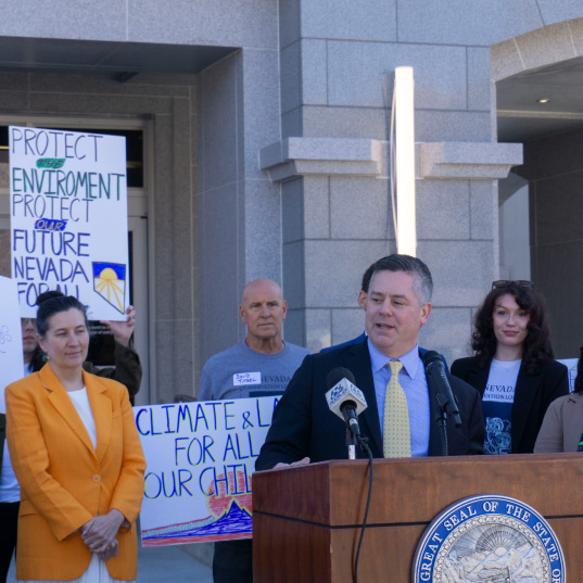 Nevada activists stand alongside speakers at a press conference